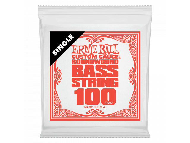 ERNIE BALL 1697 ΜΟΝΗ 100 ΓΙΑ ΜΠΑΣΟ