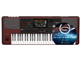 KORG PA 1000 PROFESSIONAL ARRANGER