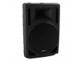 SOUNDSATION SSP10-12P - 90 Watt RMS Παθητικό ηχείο